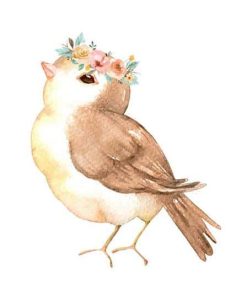 Carolina Wren Bird Paint By Numbers