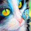 Cat and Butterfly Pets Paint By Numbers