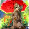 Cat and Watermelon Umbrella Paint By Numbers