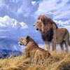 Wild Lioness Pair Paint By Numbers