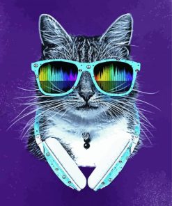 Cool Cat Music Vibe Paint By Numbers