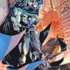 Batman and Catwoman Duo Paint By Numbers