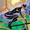 Catwoman Superhero Experience Paint By Numbers