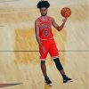 Chicago Bulls Basketball Coby White Paint By Numbers