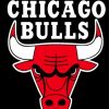 Chicago Bulls Basketball Paint By Numbers