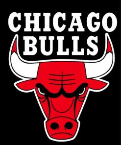 Chicago Bulls Basketball Paint By Numbers