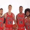 Chicago Bulls Basketball Paint By Numbers