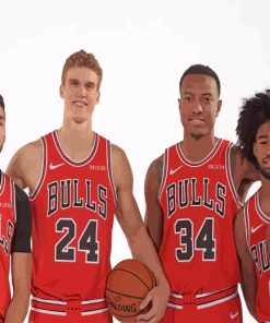 Chicago Bulls Basketball Paint By Numbers