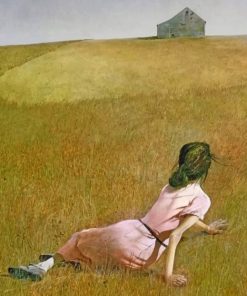 Christina's World Landscape Paint By Numbers