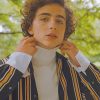 Timothee Chalamet Fashion Paint By Numbers
