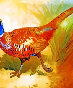 Colorful Cock Pheasant Paint By Numbers