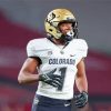 Colorado Buffaloes Football Paint By Numbers