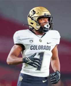 Colorado Buffaloes Football Paint By Numbers