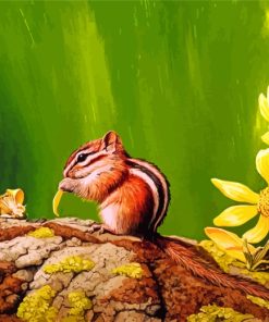 Colorado Chipmunk Wildlife Paint By Numbers