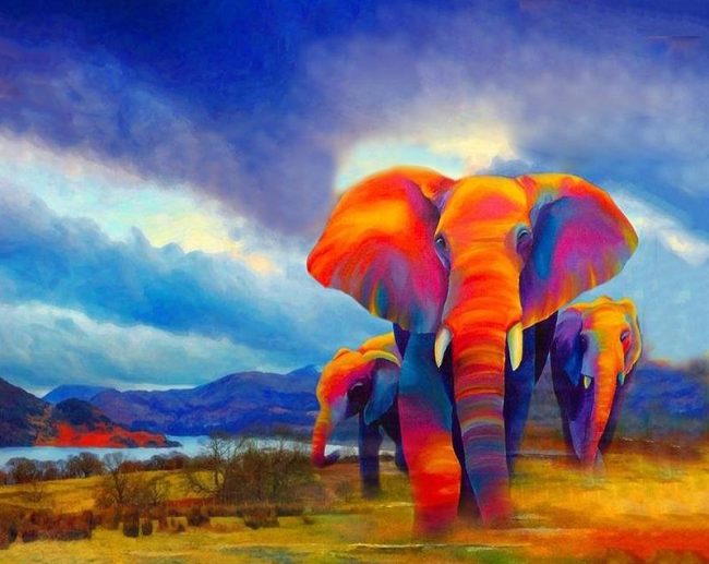 Colorful Elephant Wildlife Paint By Numbers