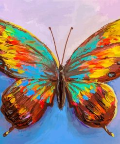 Colorful Butterfly Insect Paint By Numbers