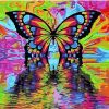 Colorful Butterfly Animals Paint By Numbers