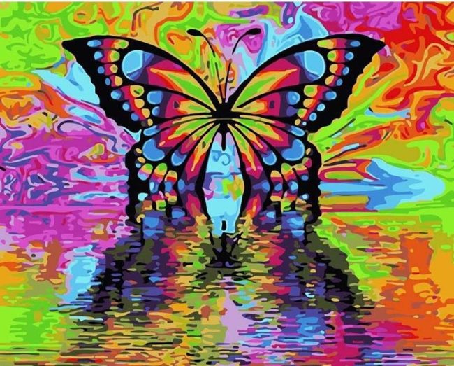 Colorful Butterfly Animals Paint By Numbers