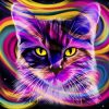 Colorful Kitten Animals Paint By Numbers