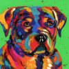 Rainbow Dog Boxer Paint By Numbers