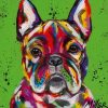 French Bulldog Rainbow Animal Paint By Numbers
