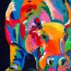 Colorful Hippo Picture Paint By Numbers