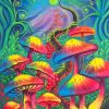 Bright Mushroom Art Paint By Numbers