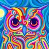 Colorful Owl Art Paint By Numbers