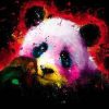 Colorful Panda Splash Paint By Numbers
