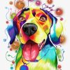 Rainbow Retriever Dog Paint By Numbers