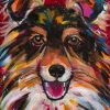 Colorful Sheepdog Dog Paint By Numbers