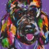 Colorful Poodle Animals Paint By Numbers