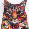 Colorful Cat Paint By Numbers