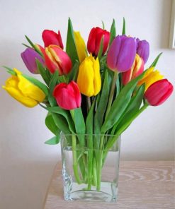 Colorful Tulip Vase Paint By Numbers