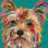 Colorful Yorkie Puppy Paint By Numbers