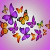 Colorful Butterfly Wonderland Paint By Numbers