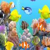 Colorful Tropical Fish Paint By Numbers