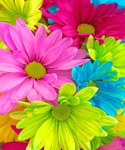 Colorful Flower Paint By Numbers