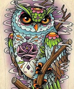 Colorful Owl Paint By Numbers