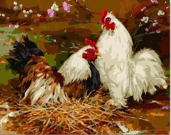 Chickens and Birds Modern Paint By Numbers
