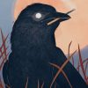 Majestic Raven Bird Paint By Numbers