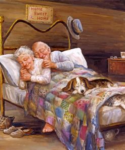 Romantic Old Couple Sleep Hug Paint By Numbers
