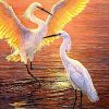 Crane Sunset Scene Paint By Numbers