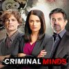 Criminal Minds Series Stars Paint By Numbers