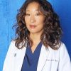 Cristina Yang Grey's Anatomy DIY Paint By Numbers