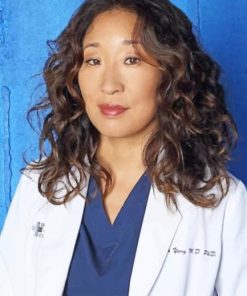 Cristina Yang Grey's Anatomy DIY Paint By Numbers