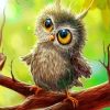Cute Baby Owl Painting Kit Paint By Numbers