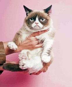 Cute Grumpy Cat Kittens Paint By Numbers