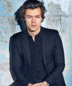 Cute Harry Styles Paint By Numbers