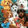 Cute Puppies Dogs Paint By Numbers